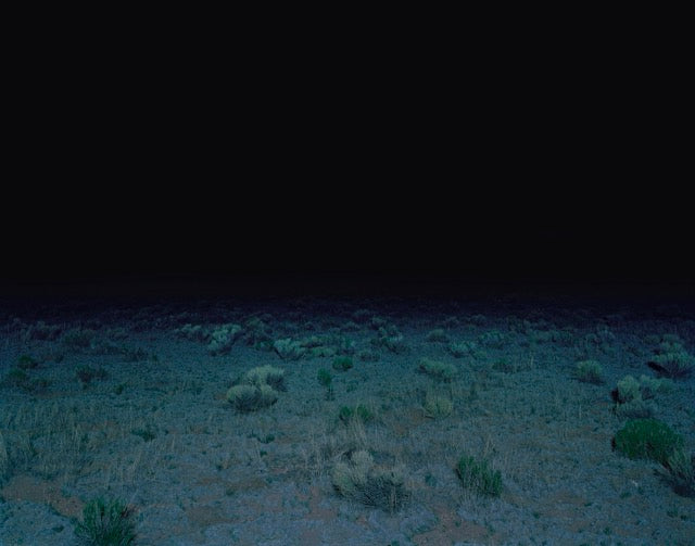 Dark photo of a field in Colorado, with small, low plants and groups of grass. A dark blue blackish sky with green and light green plants.