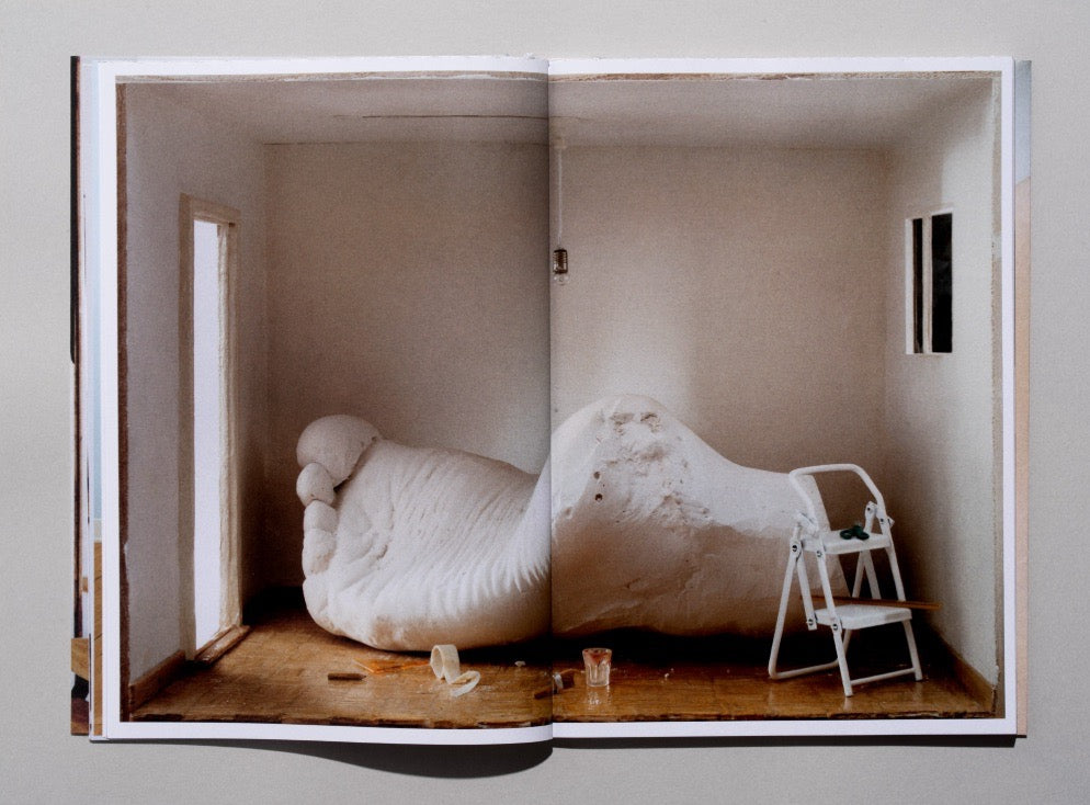 Sara De Brito Faustino - speciale editie boek A Home With No Roof, 2026