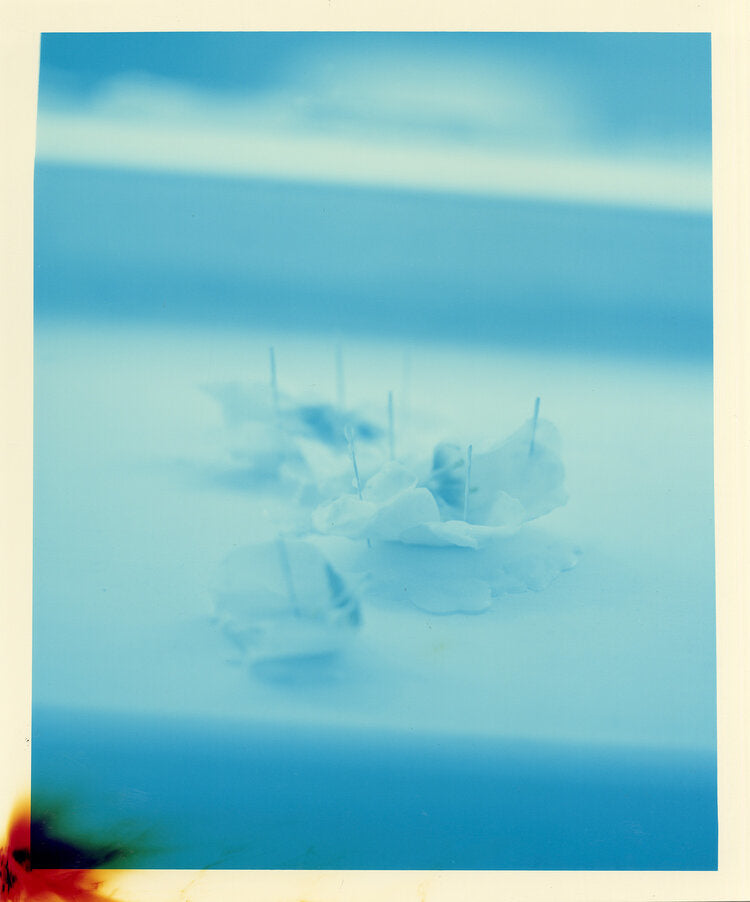flower petals with needles in blue tones