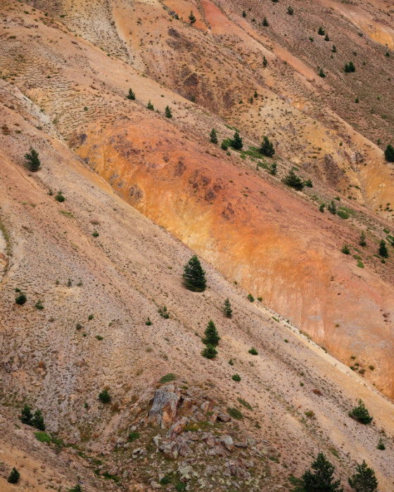 brown hills with a few green trees