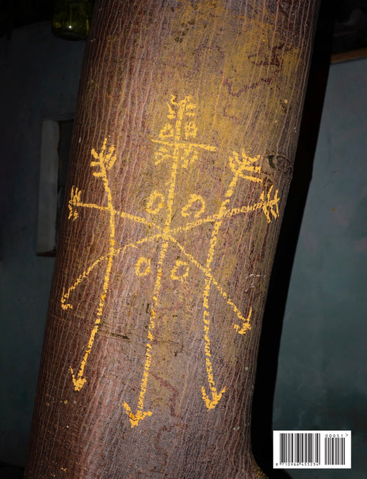 Back cover of Foam Magazine #51