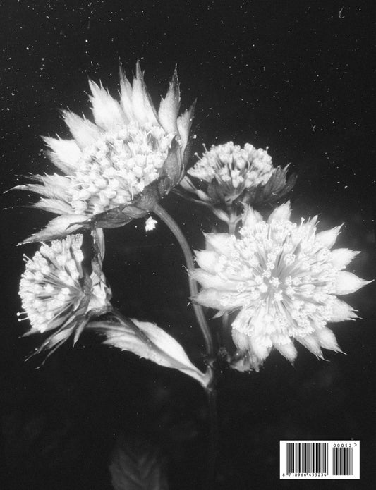 Back cover of Foam Magazine #52