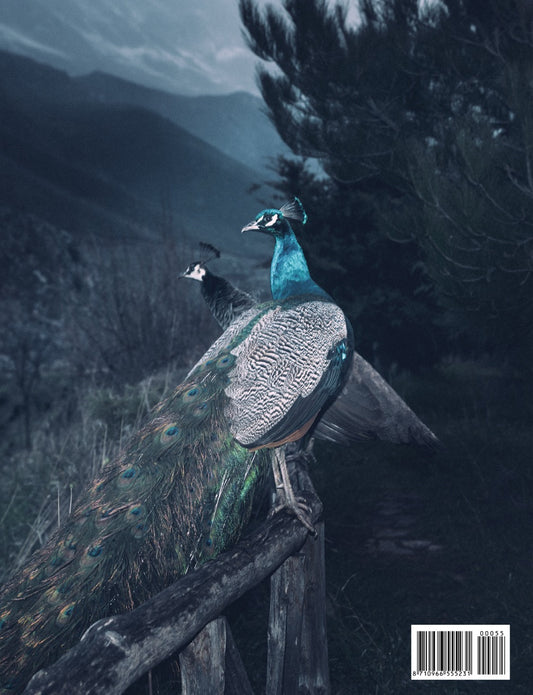 Back cover of Foam magazine #55