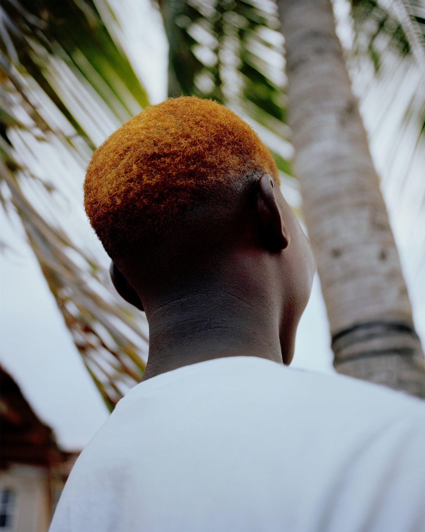 Portrait of the back of a figure wearing a white t-shirt standing in front of palm trees