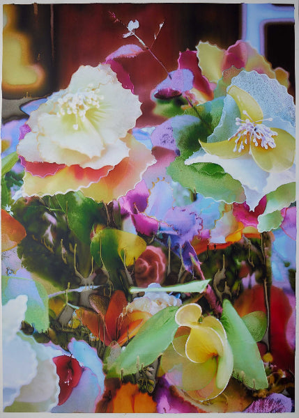 kleurrijke verzameling bloemen en planten