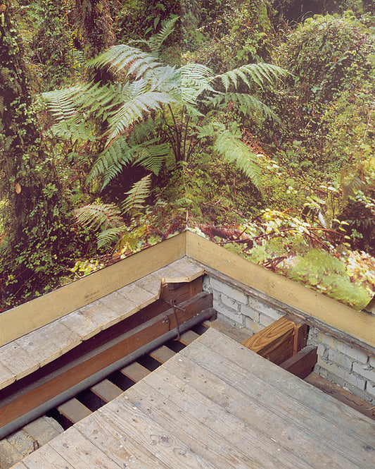 wallpaper with plant pattern and wooden floor cut open