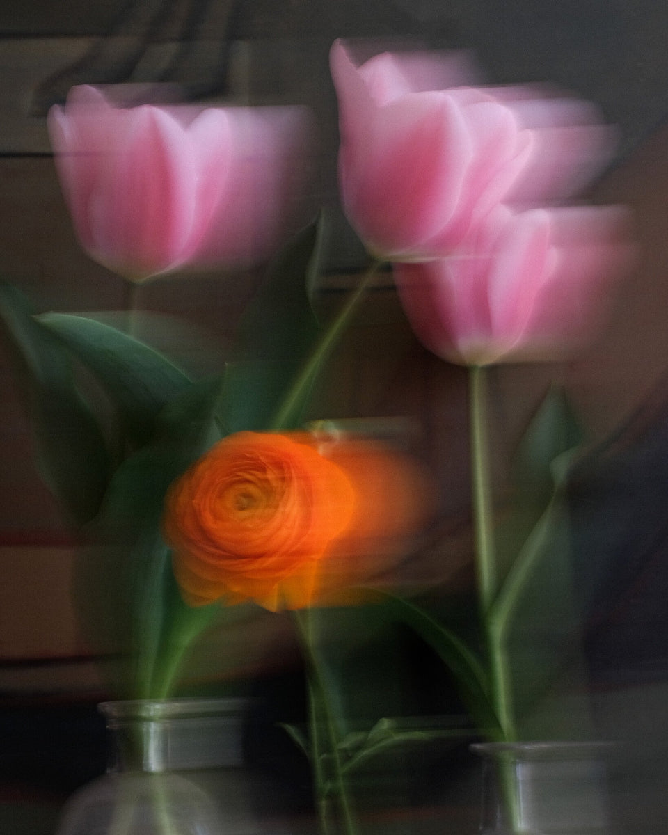 three pink flowers and orange rose