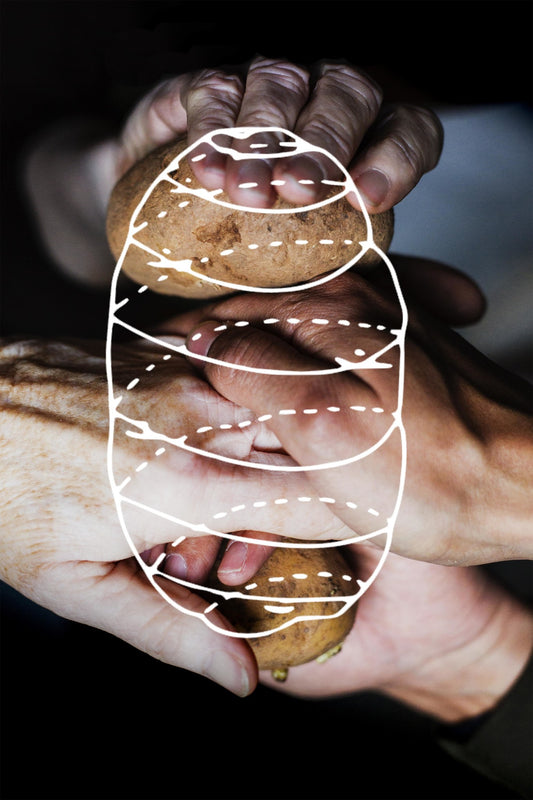 Four hands honding two patatoes, layered with the illustration of a patato
