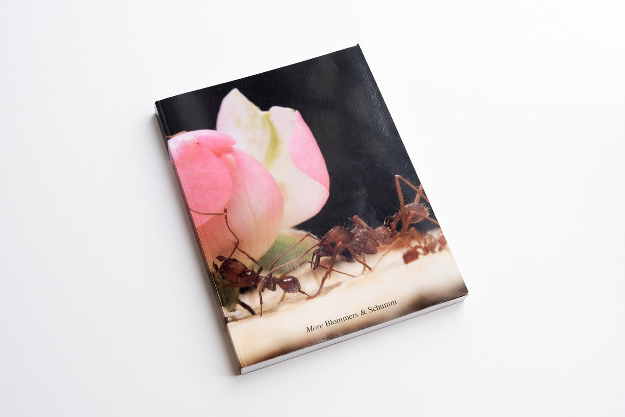 Blommers & Schumm - More