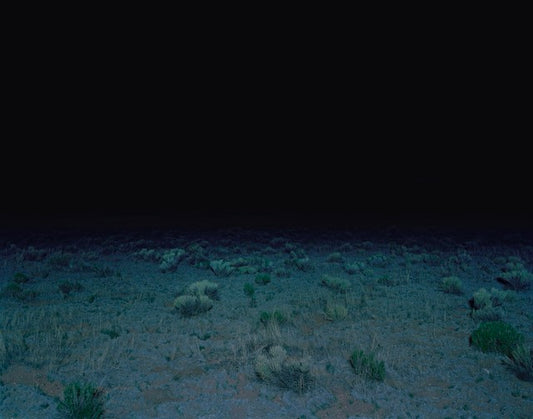 Dark photo of a field in Colorado, with small, low plants and groups of grass. A dark blue blackish sky with green and light green plants.