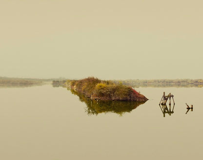 Colour photo of water and a sky with the horizon in the middle and in the middle an autumn coloured group of plants. 
