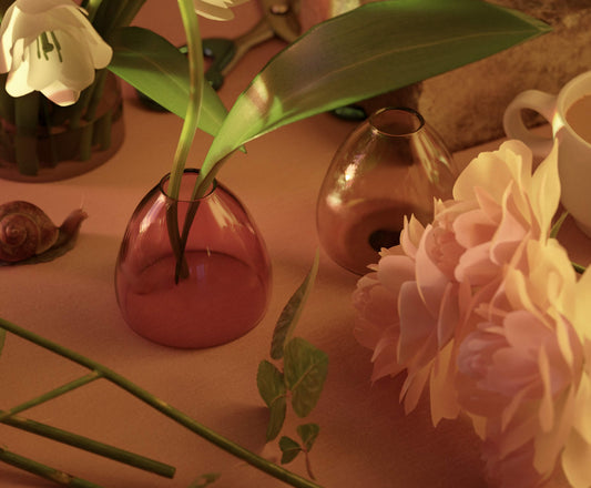 vaasjes en bloemen in oranje licht