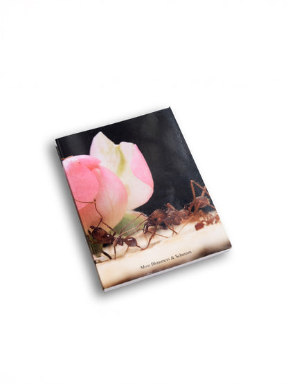 Blommers & Schumm - More