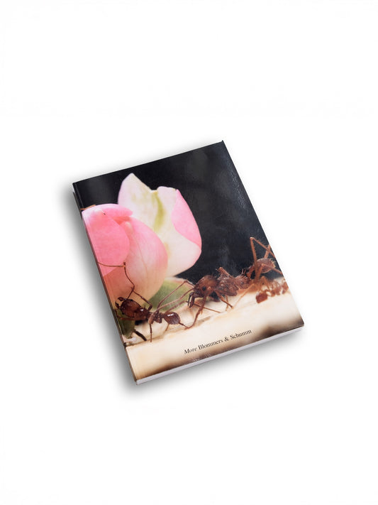 Blommers & Schumm - More