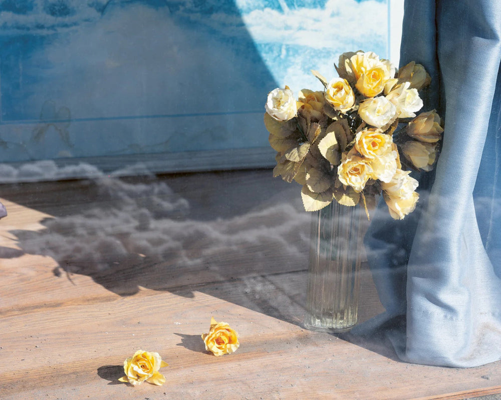 yellow roses next to blue curtain