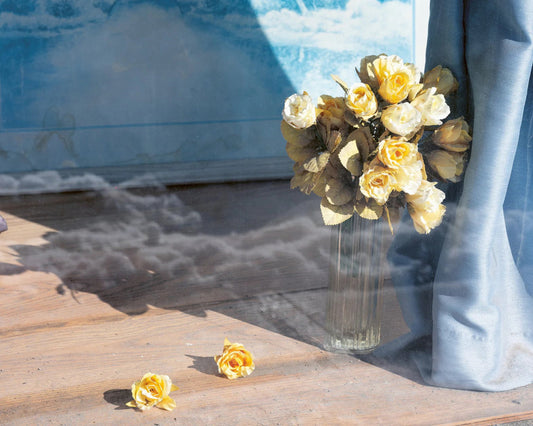 yellow roses next to blue curtain