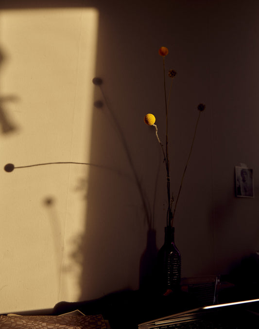 Flowers in a vase in a shadowy room 