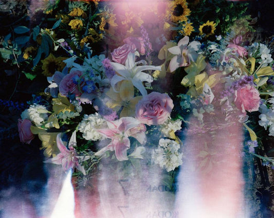 pink, yellow, white and purple flowers