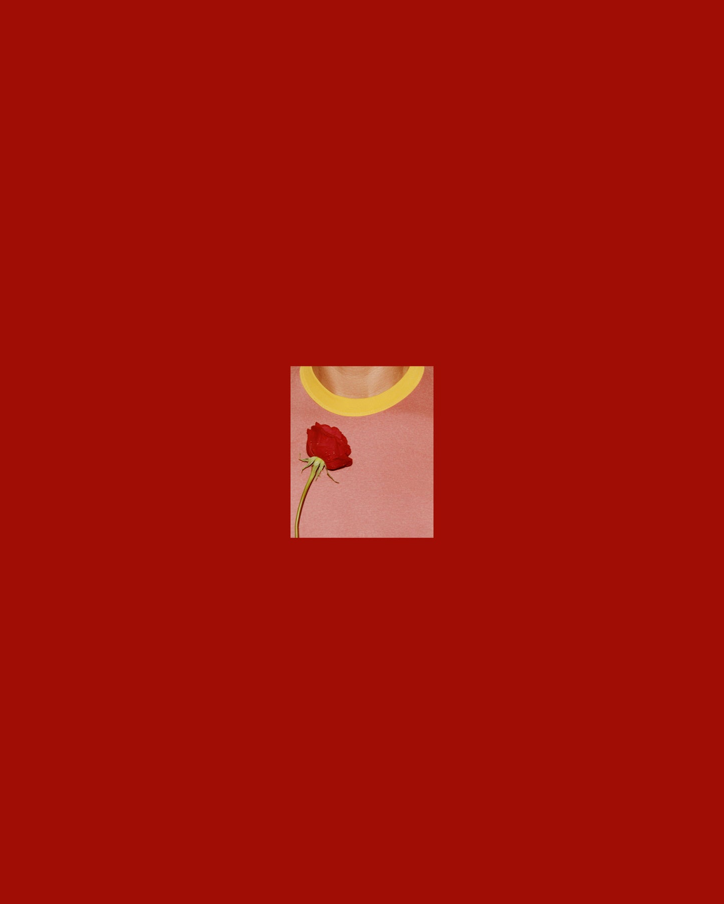 photo Sander Coers in red passepartout