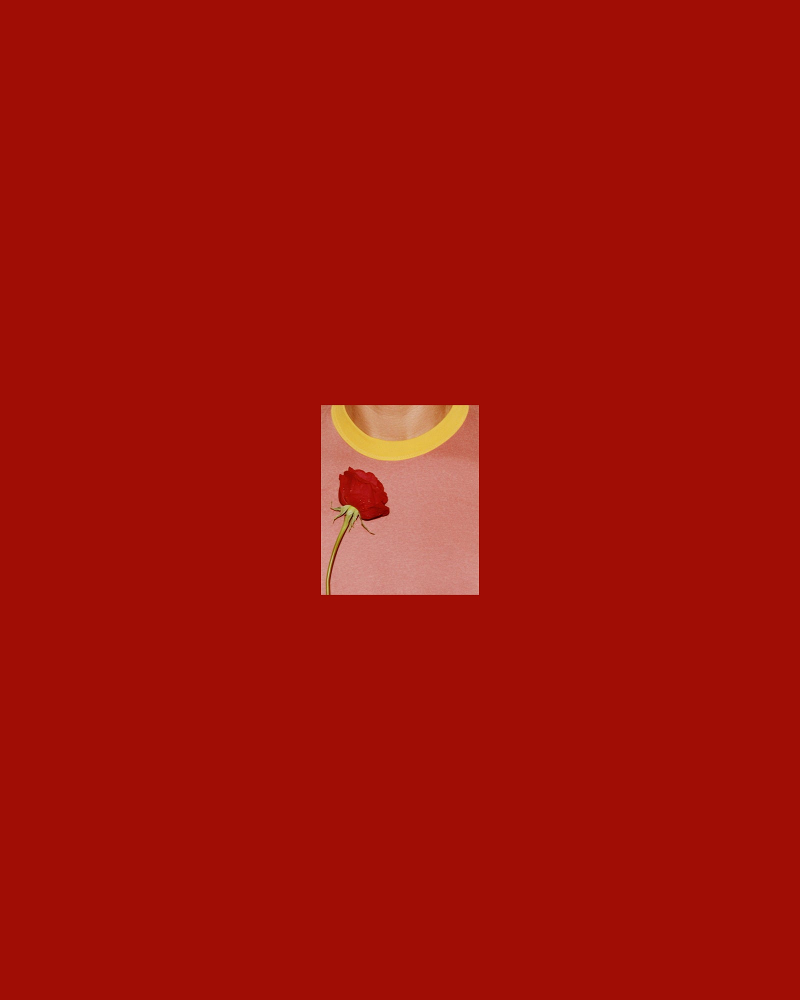 photo Sander Coers in red passepartout