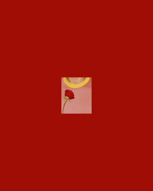photo Sander Coers in red passepartout