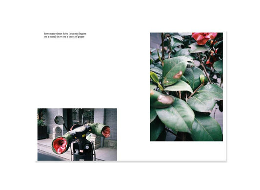 two images and a text on a white background