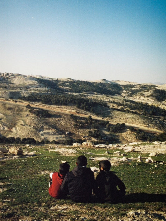 Three young boys looking out over a landscape