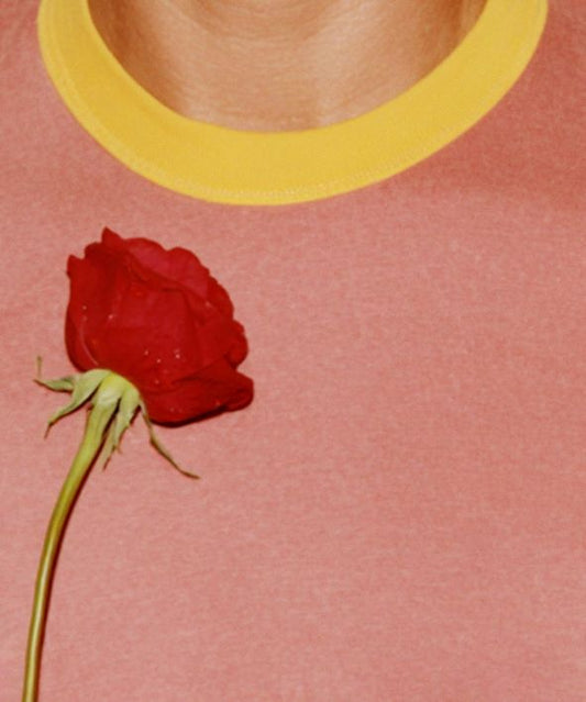 pink shirt with yellow collar and red rose