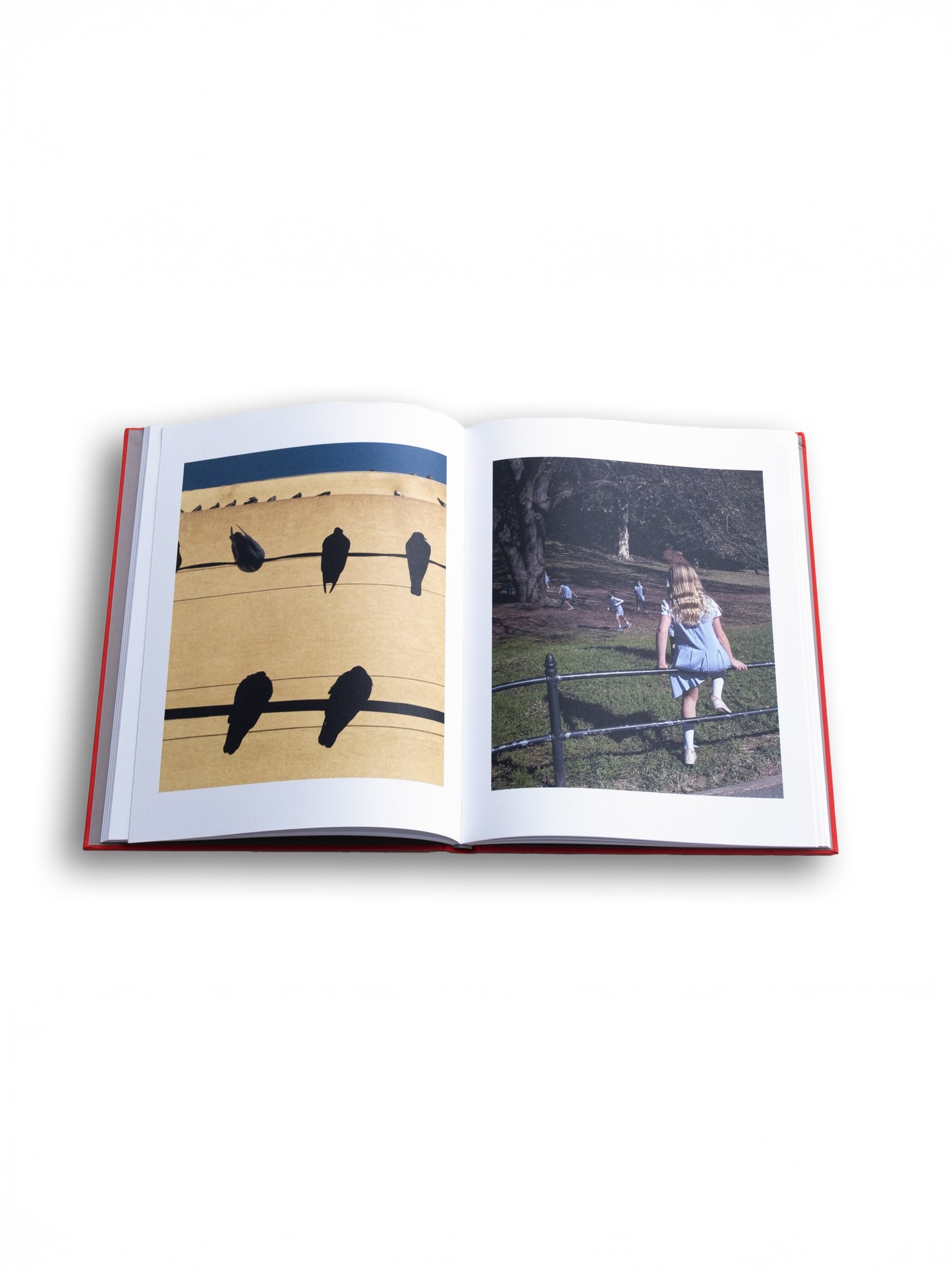 Sarah van Rij - Atlas of Echoes