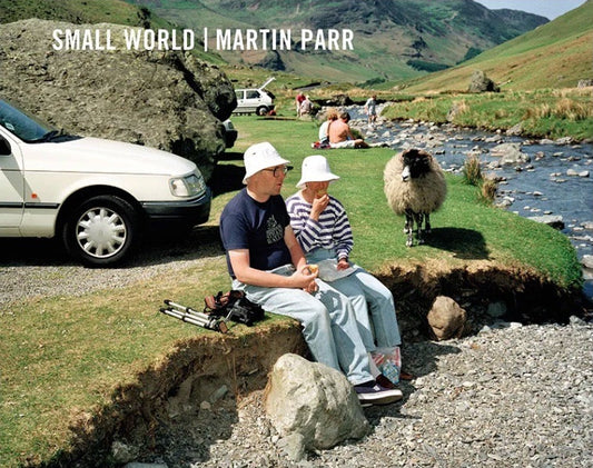 Colour photo of a man and woman sitting next to a river, eating, with behind them a white car and next to them a sheep.