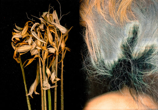 diptych plant and grey hair shwe wutt hmon