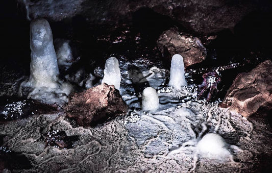 Sofia Borges - Five universes, 2015