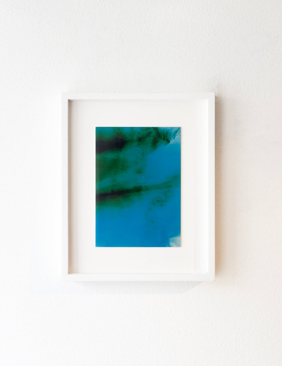 Foam First Edition by Sonia Mangiapane