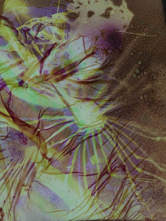colorful film negative from upclose