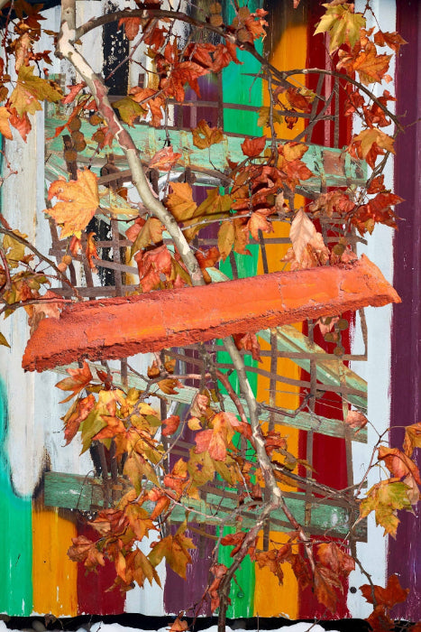collage orange green with brown leaves