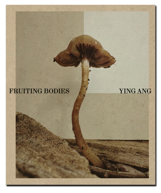 brown cover with the title and in the middle one standing mushroom.